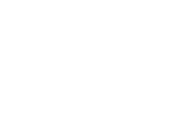 DIAMOND PAINTS