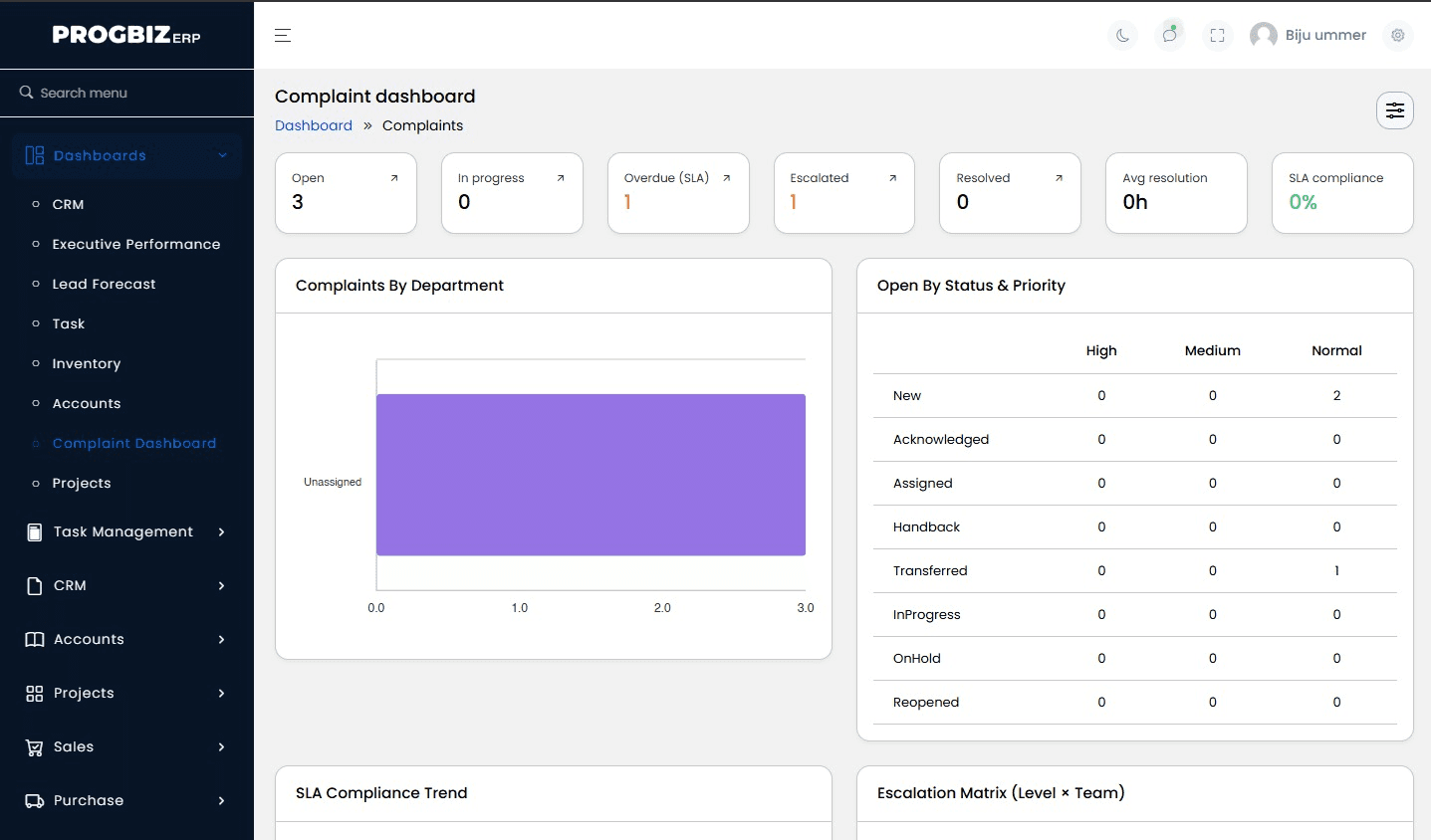 Progbiz ERP dashboard